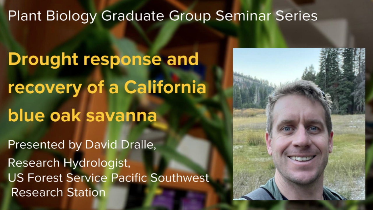 Plant graphic with seminar title and image of the presenter