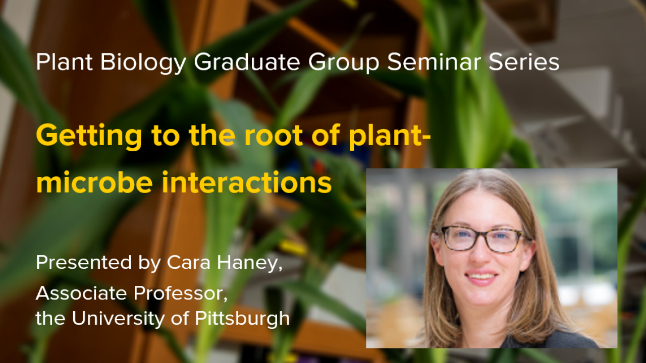 Plant graphic with seminar title and image of the presenter