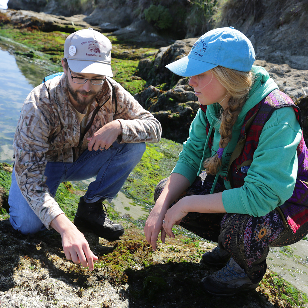 Male and female researcher in waders exploring the tidepools