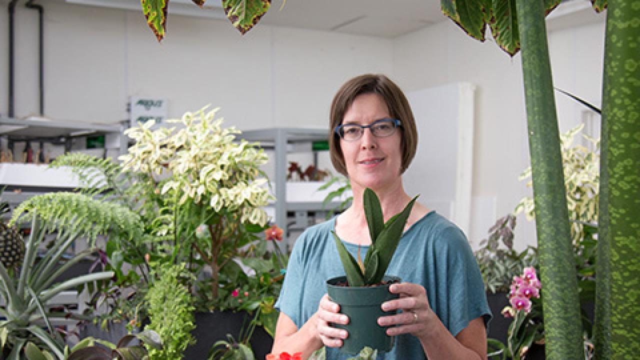 Stacey Harmer visits the Life Sciences Building Greenhouse. David Slipher/UC Davis