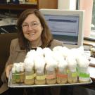 Professor Deborah Kimbrell holds a tray of fruit fly specimens