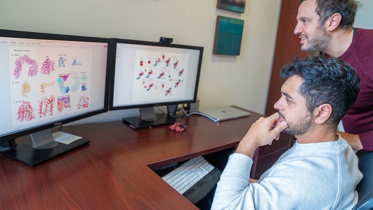 Two men in office reviewing colorful medical diagrams on dual monitors, one smiling