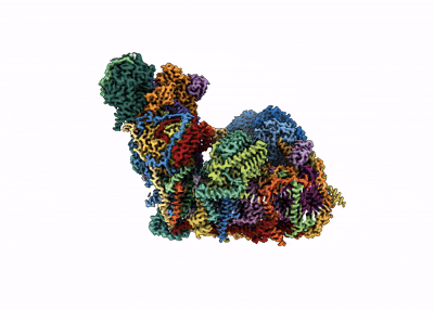 Multicolored 3D rendering of a protein complex
