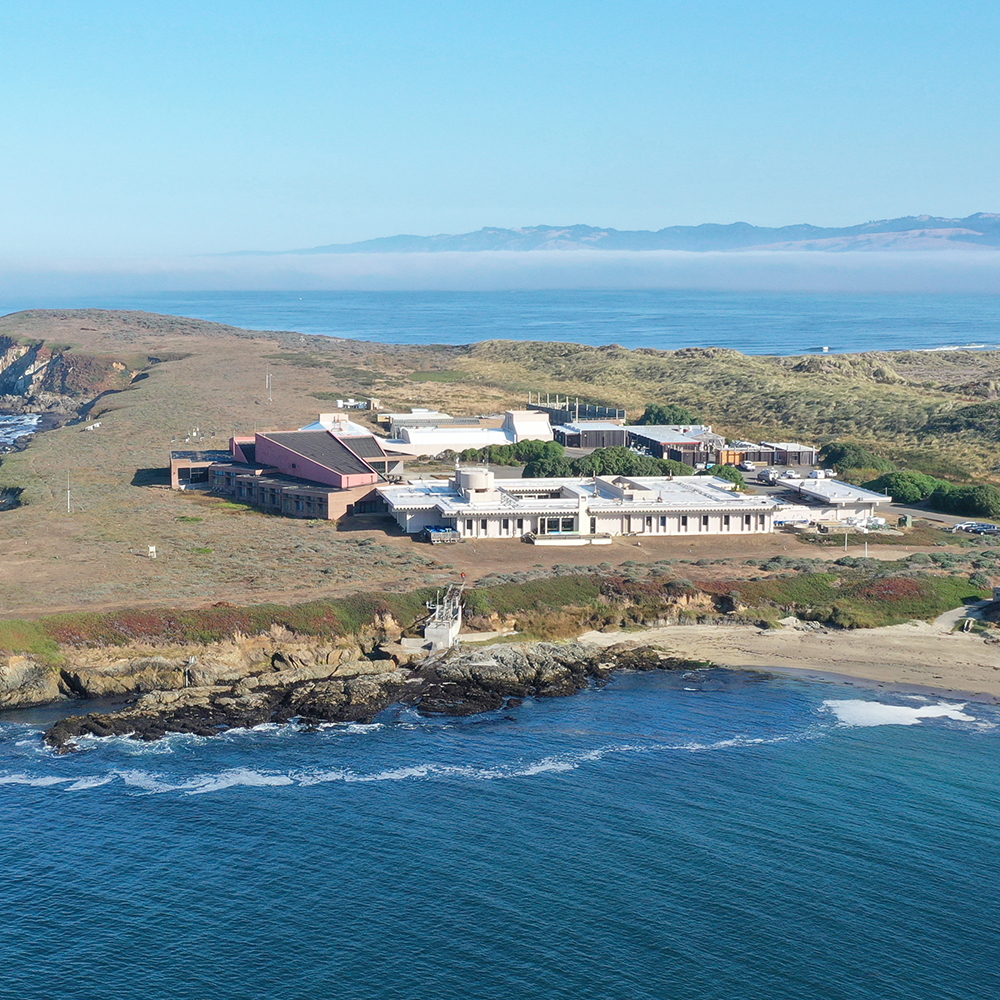 Bodega Marine Lab aerial shot