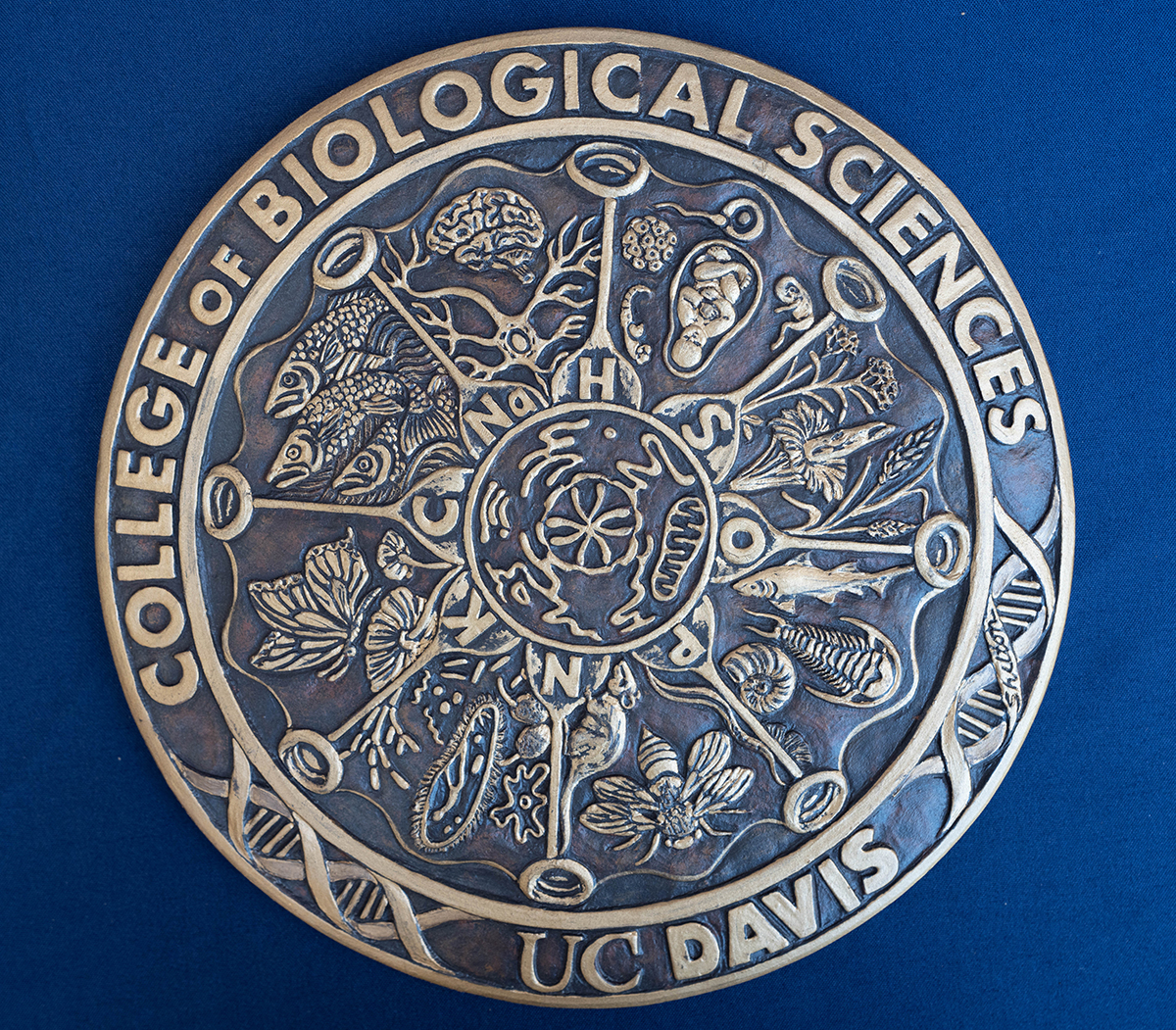 Bronze CBS medal with diatom-inspired design featuring scientific symbols and organisms on a blue background.