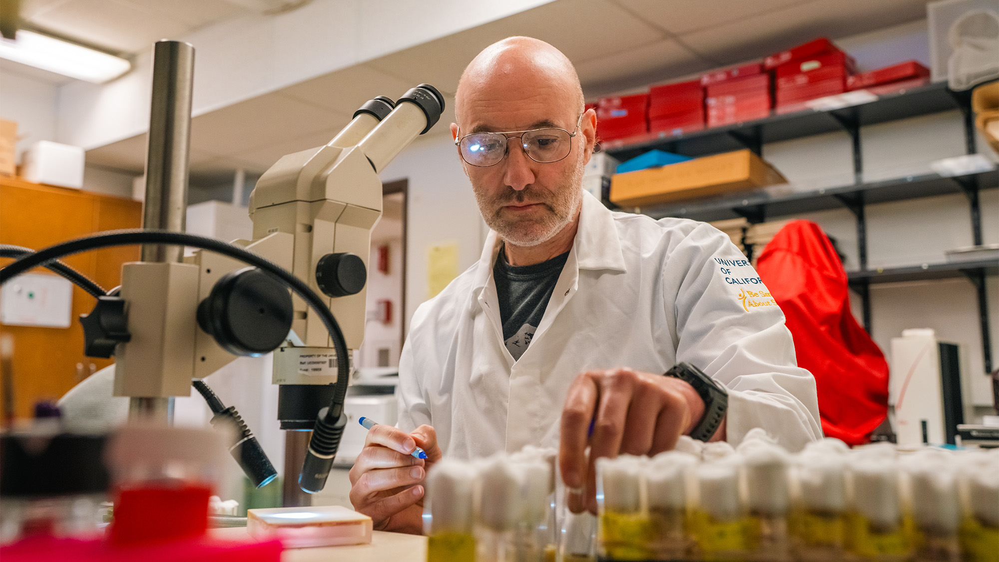Scientist in white lab coat and safety glasses arranging vials by a microscope