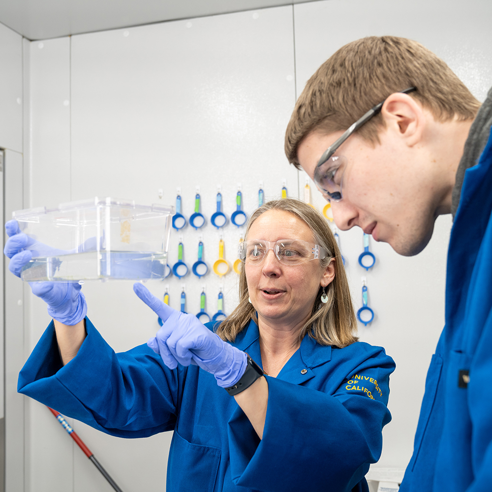 Male and female researcher in blue lab coats examining specimen