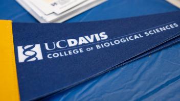Felt pennants on the swag table