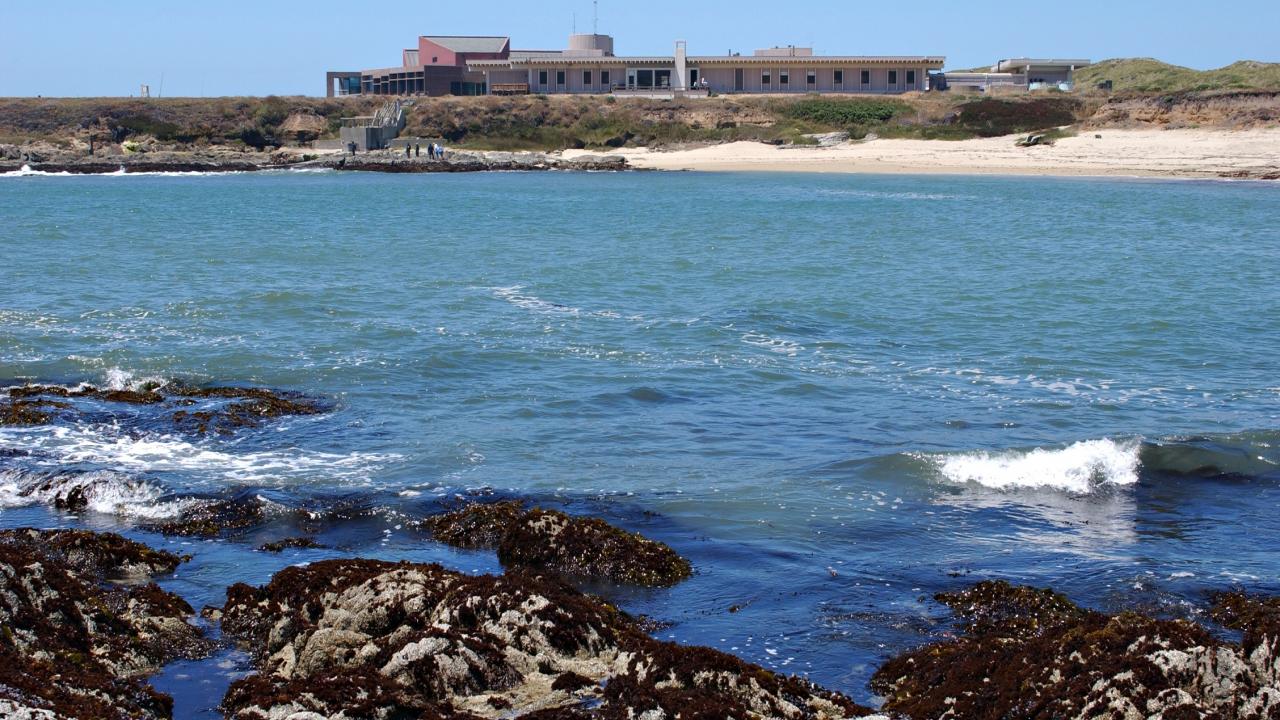 For their outstanding work in the marine sciences, two Bodega Marine Laboratory graduate students are among this year’s recipients of the National Oceanic and Atmospheric Administration’s Dr. Nancy Foster Scholarship. Debbie Aldridge Bodega Marine Laboratory
