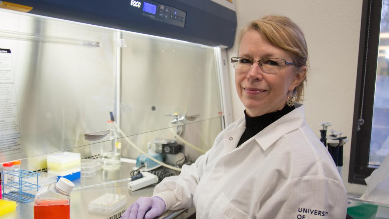 UC Davis Center for Neuroscience Associate Director Jennifer Whistler believes drug development is headed in the wrong direction when it comes to synthetic opioids. Her solution, design a synthetic opioid that mimics the body's natural pain reliever, endorphin. David Slipher/UC Davis    