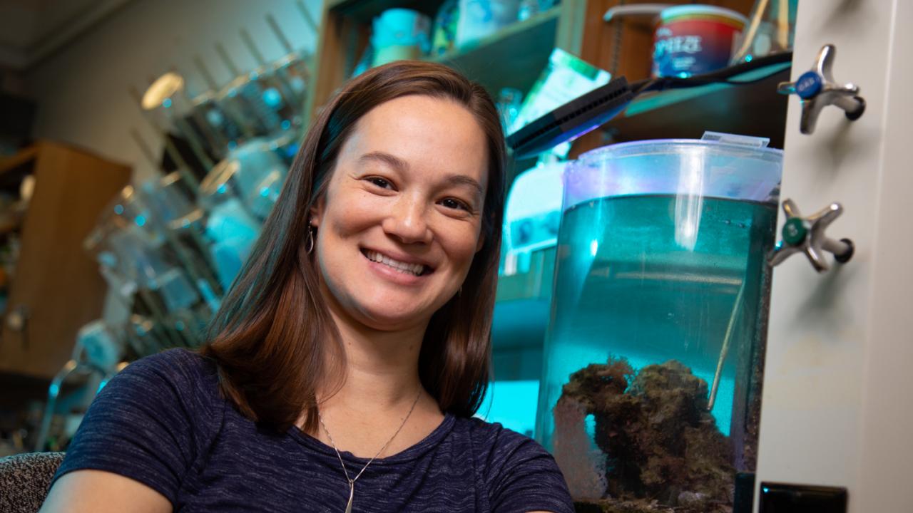 Rachael Bay sits in her lab