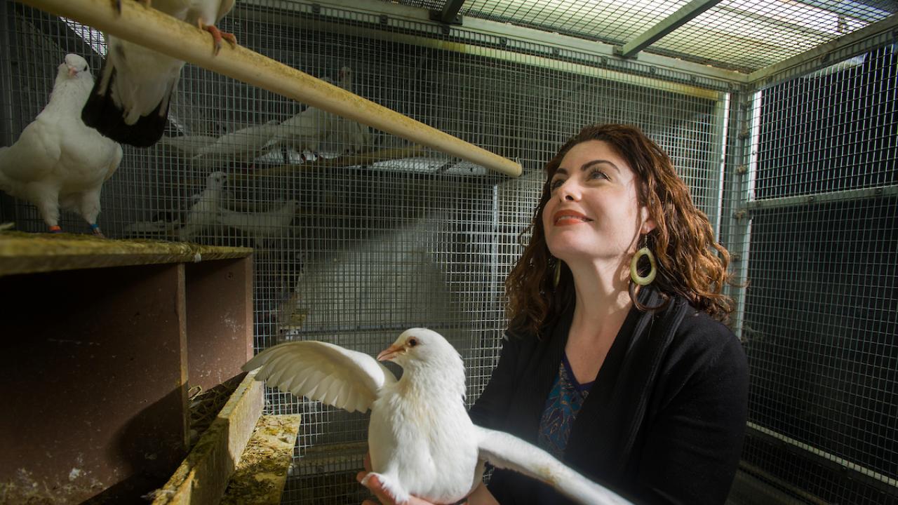 “Sharing discoveries with heart and humor.” That’s the philosophy behind Assistant Professor Rebecca Calisi Rodríguez’s science communications work. UC Davis Rebecca Calisi Rodríguez