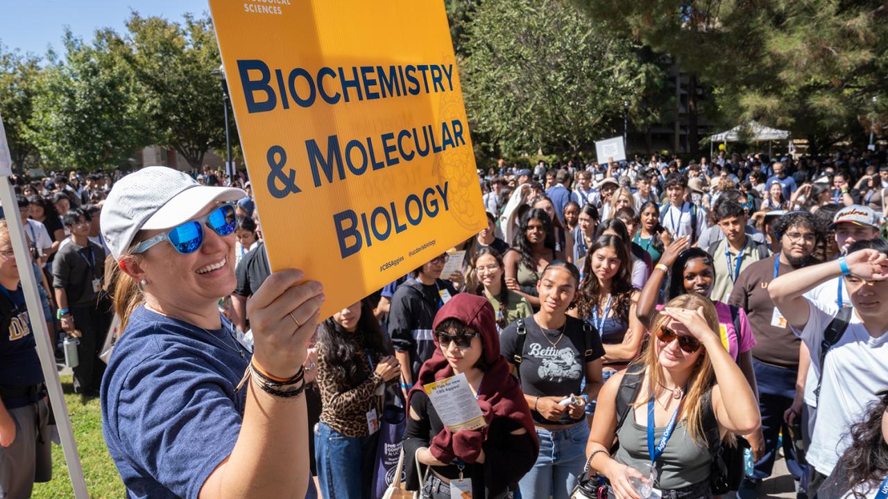 A woman holding a yellow sign up in front of a large outdoor crowd.