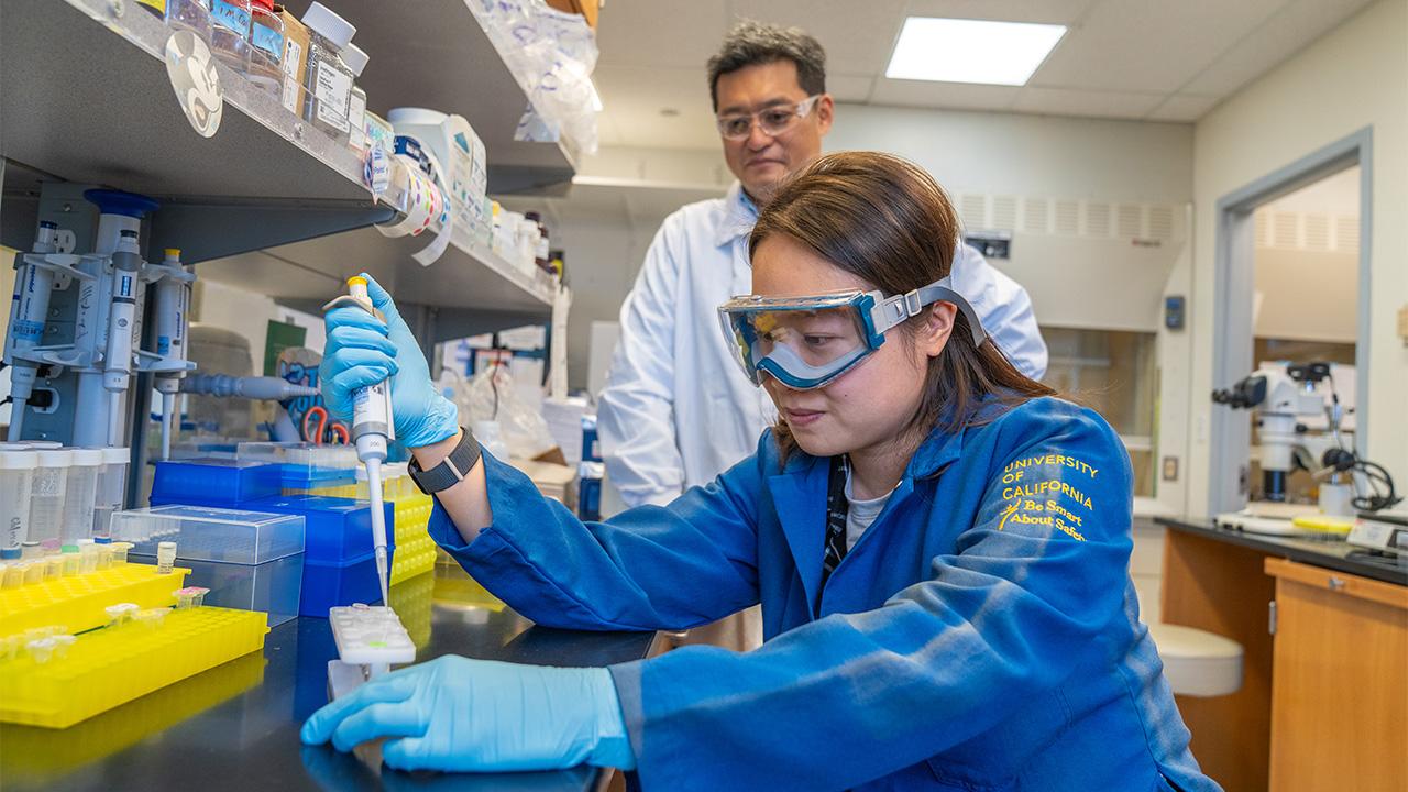 Female scientist pipetting in lab while male colleague observes, both in blue coats and gloves