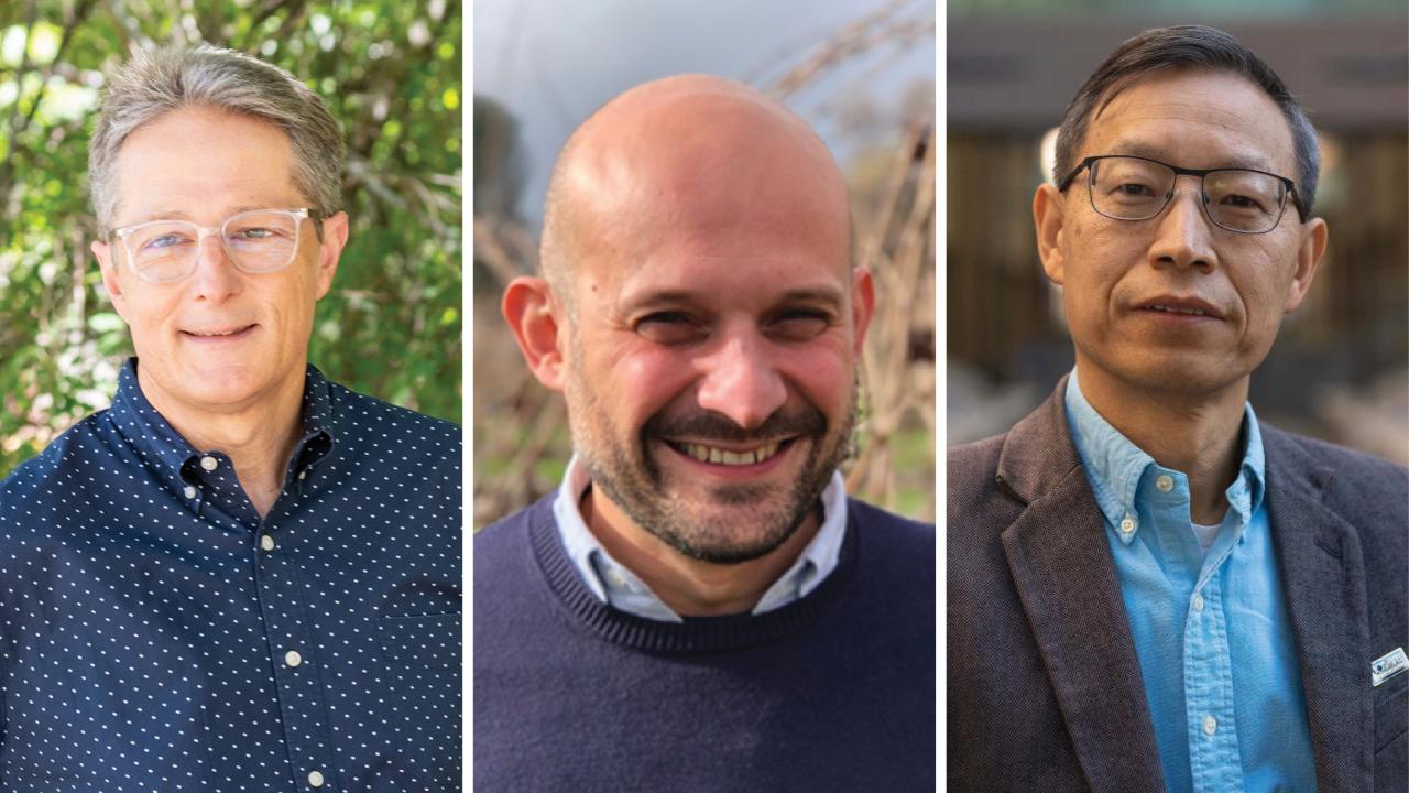 Three men standing outdoors in separate settings, arranged side by side in a composite image. The man on the left wears glasses and a navy blue polka dot shirt. The man in the center is bald, smiling, and wears a dark sweater over a collared shirt. The man on the right wears glasses, a blue button-up shirt, and a gray blazer.