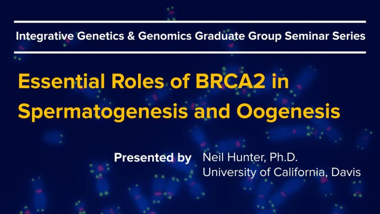 Dark blue graphic with seminar title, speaker name and speaker title