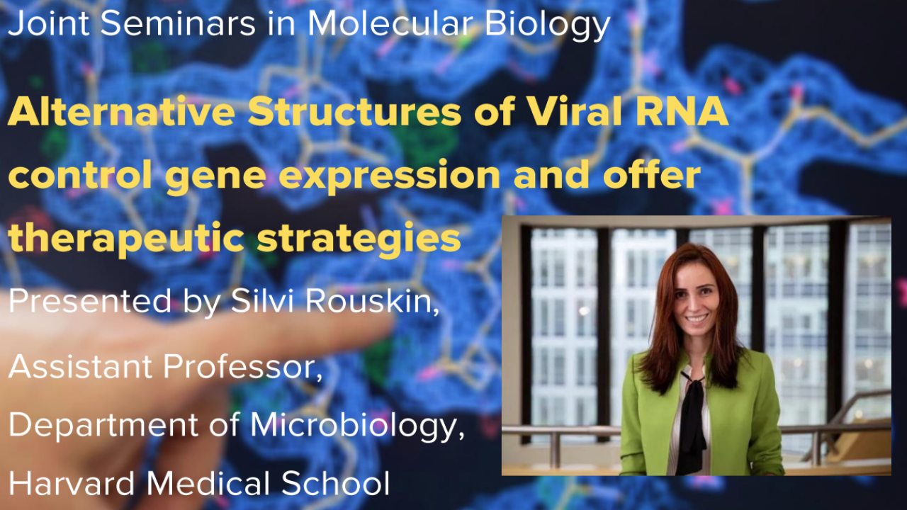 Blue graphic with seminar title and image of the presenter
