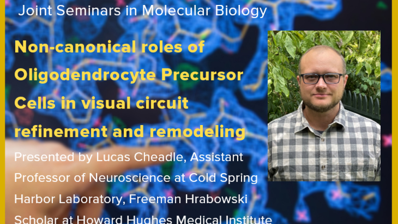 Blue graphic with seminar title and image of the presenter