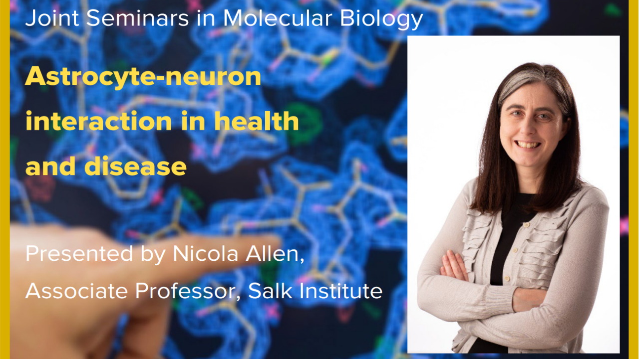 Blue graphic with seminar title and image of the presenter