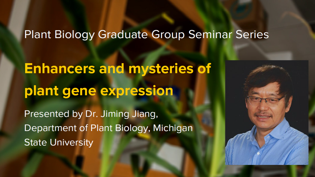 Plant graphic with seminar title and image of the presenter