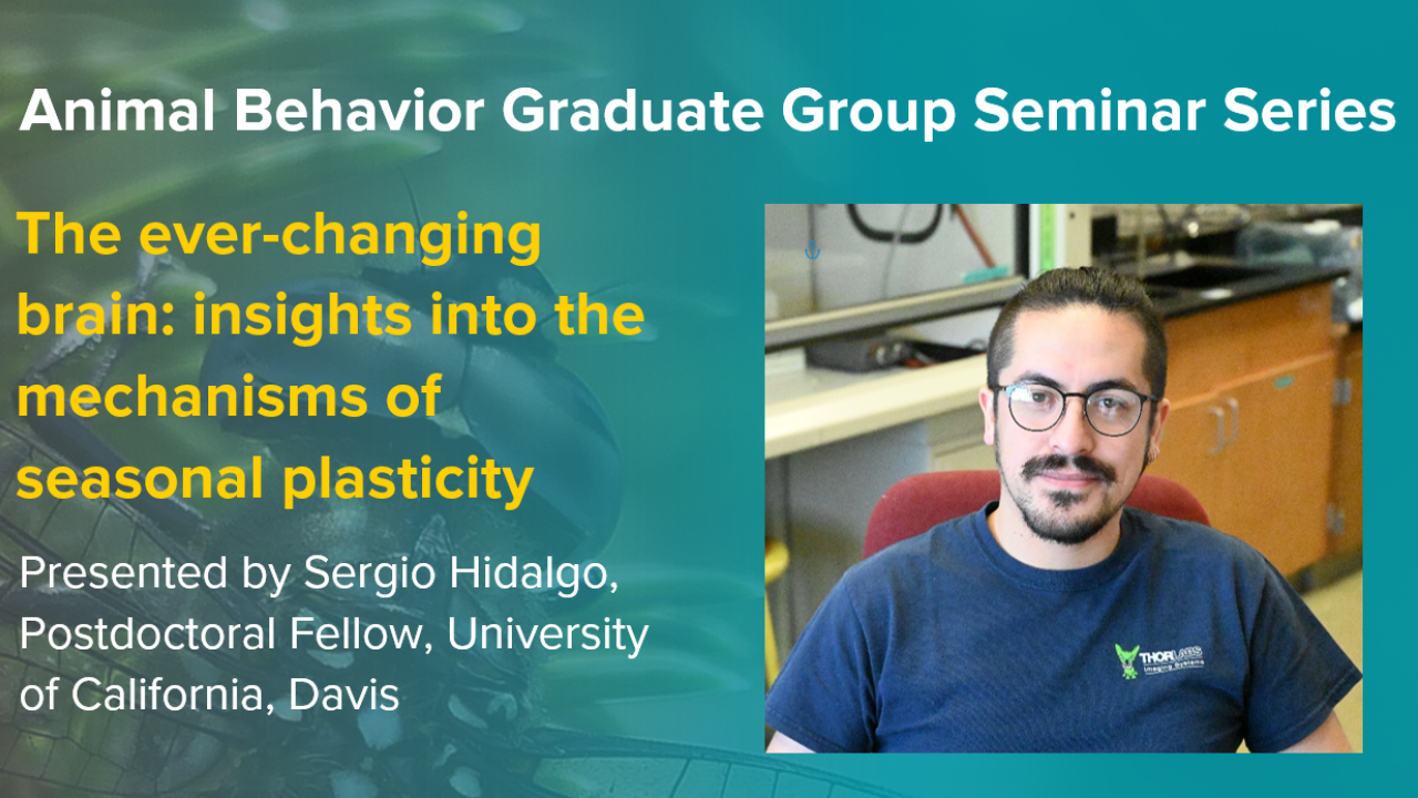 blue graphic with seminar title, speaker name and title, and speaker picture