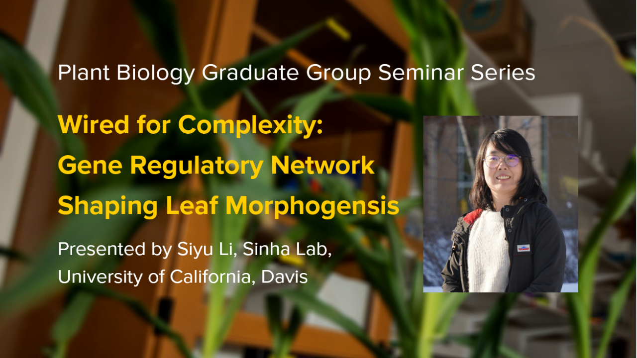 Plant graphic with seminar title, speaker name and title, and speaker photo