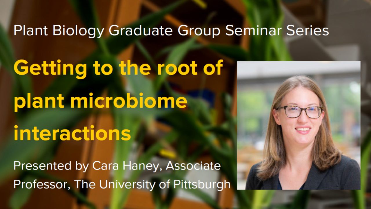 Plant graphic with seminar title, speaker name and title, and speaker photo
