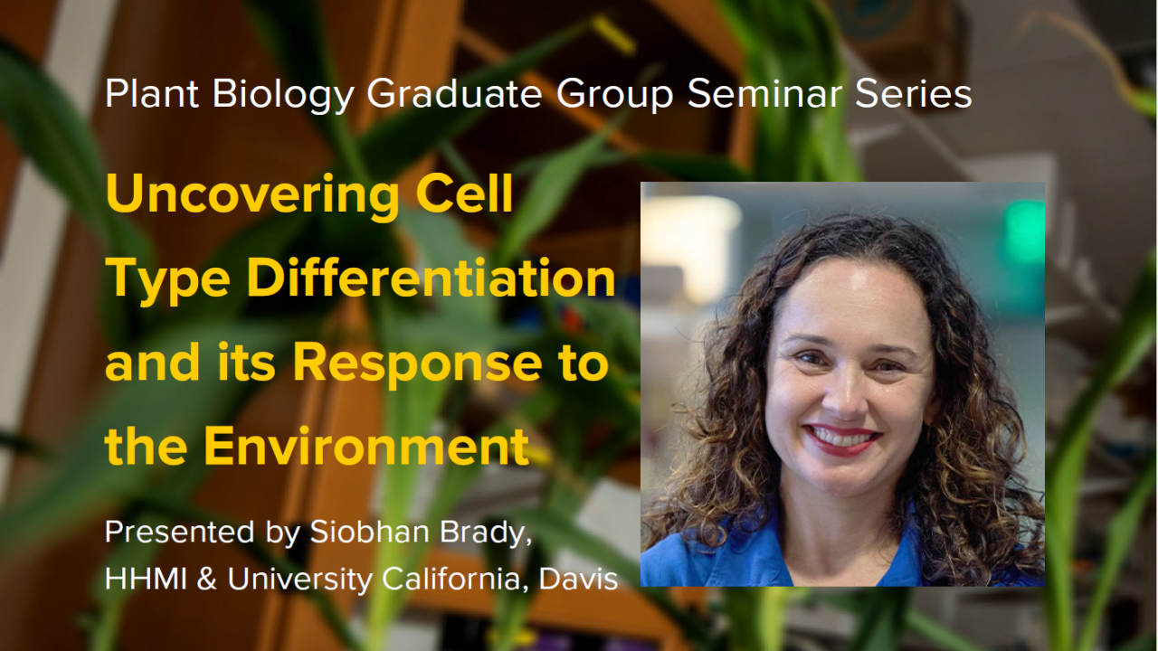 Plant graphic with seminar title, speaker name and title, and speaker photo