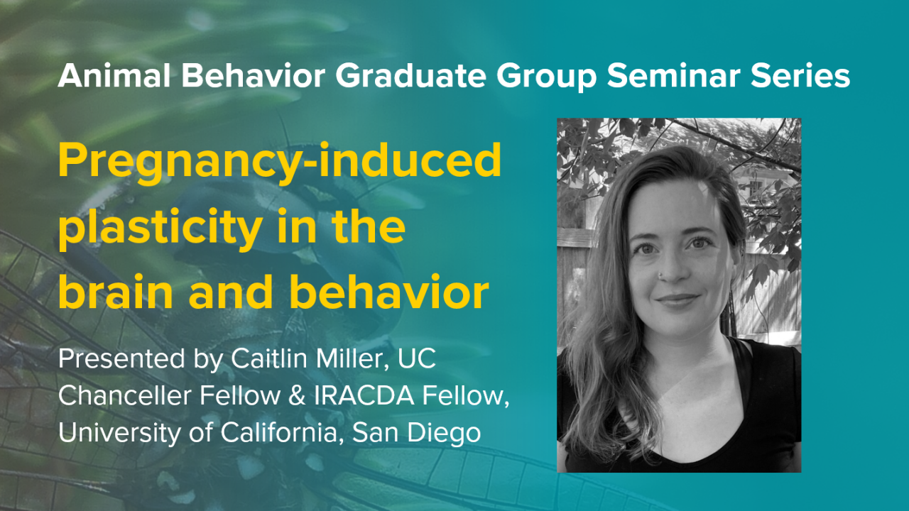 Blue graphic with seminar title, speaker name and title, and speaker photo