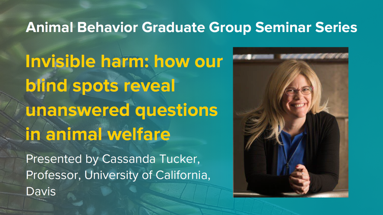 Blue graphic with seminar title, speaker name and title, and speaker photo