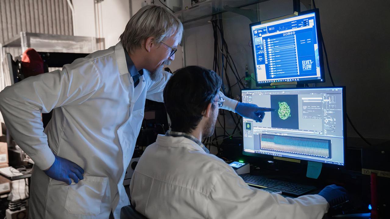 Two researchers in lab coats look at computer screens with one pointing to an image of cells on the monitor