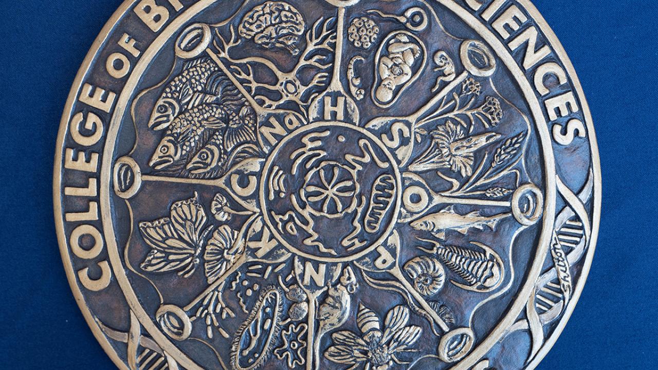 Bronze CBS medal with diatom-inspired design featuring scientific symbols and organisms on a blue background.