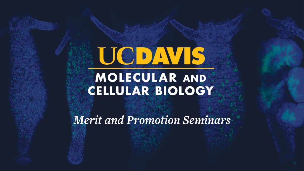 UC Davis Molecular and Cellular Biology seminar banner, blue fluorescent cell images