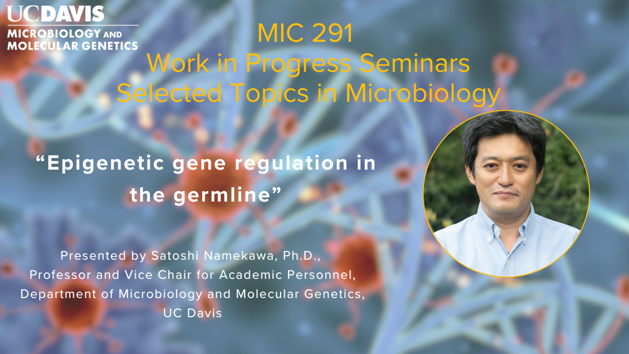 Seminar flyer for UC Davis Microbiology and Molecular Genetics. Text reads “Epigenetic gene regulation in the germline,” featuring Satoshi Namekawa.