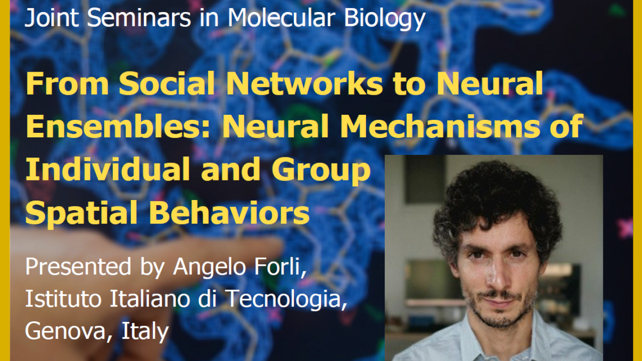 Blue graphic with seminar title, speaker name and title, and speaker photo