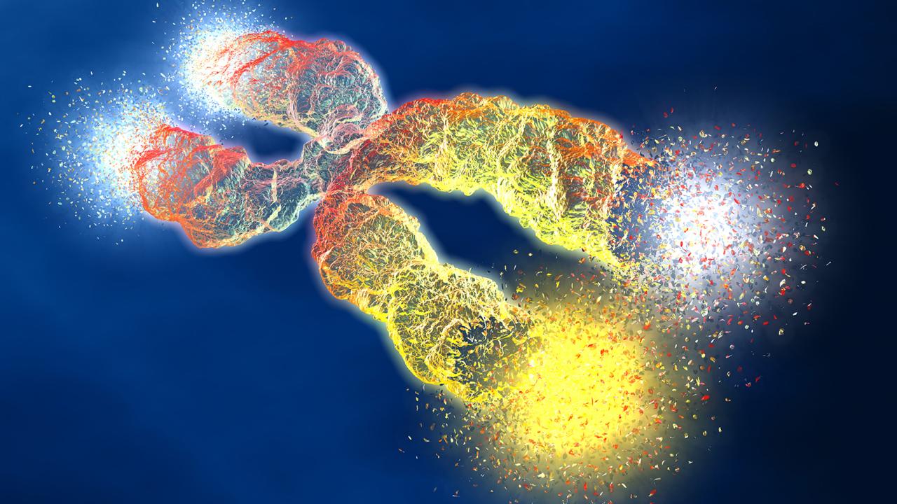 Rendering of genetic model in blue pink and gold