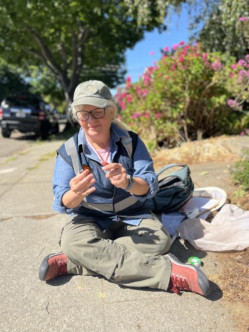 A person wearing a cap, glasses, and field gear sits cross-legged on a sidewalk, gently holding a monarch butterfly. A backpack, butterfly net, and field materials are beside them, with blooming bushes and a tree-lined street in the background.