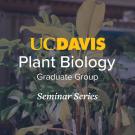 Plants in a greenhouse setting with overlaid text reading “UC Davis Plant Biology Graduate Group Seminar Series.”