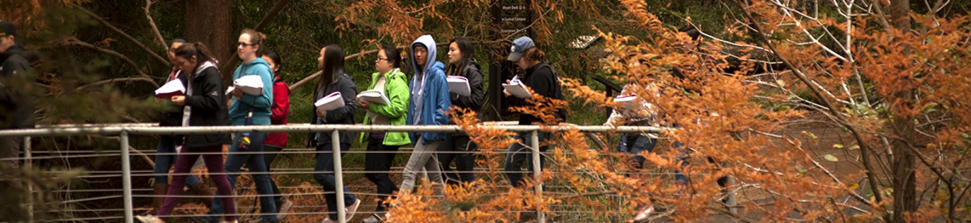 Students on bridge